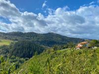 CHILL & ZEN - Caserío Itxaiz - - Bed and Breakfast