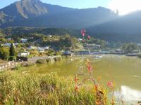 Appartement les Saules à Cilaos - Chambres d’hôtes Cilaos