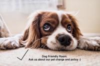 Estudio con vistas al jardín