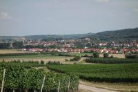 Apartment - Split Level