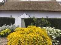 B&B Duleek - Connells House Thatched Cottage - Bed and Breakfast Duleek