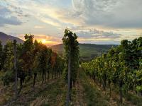 Apartamento con vistas al lago