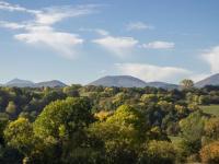 Rêves de Bois - B&B Loubeyrat