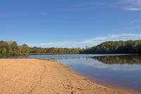 Wilderness Presidential By TripForth - Bed and Breakfast Spotsylvania