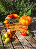 La Maison ZiaZen - Bed and Breakfast Porto da Cruz