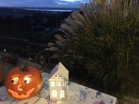 Szamóca Vendégház-Kőröshegy (Balaton) - B&B