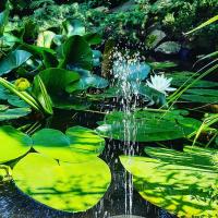 Eleonor Accommodation exclusive house - Ferienwohnung Liszki