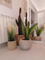 Apartamento de 3 dormitorios