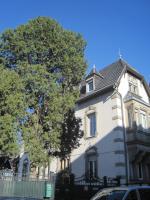 Appartement Colmar Centre Le 4 - B&B