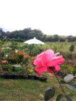 ภูร่องลม ฟาร์ม - B&B