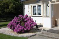 Letnia Oaza "Kalina" - B&B Sobienie Jeziory