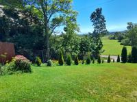 Agroturystyka Pokoje u Zosi - B&B Odrowąż