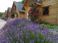 B&B Bad Altheide - Domki Polanica - Bed and Breakfast Bad Altheide