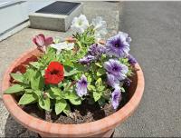 Appartamento - Piano Terra