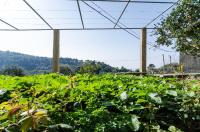 Studio mit Gartenblick