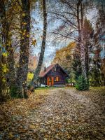 Pine Lodge - B&B Hlevci