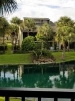 Island Life - B&B