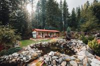 Chalet con 1 Camera da Letto