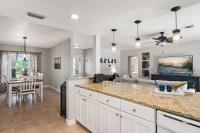 Sea Turtle - B&B Marco Island