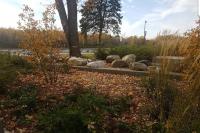 Cozy 1-BDR Suite #20 by Amazing Property Rentals - Chambres d'hôtes Gatineau