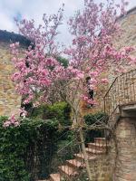 La Magnolia - B&B Greve in Chianti