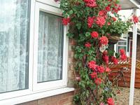 Rosa's Bed and Breakfast - Ferienwohnung Cambridge