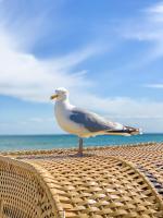 Lüttn Penthuus - Ferienwohnung Grömitz