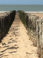Appartement Knokke, vlakbij het strand en winkels - B&B Knokke-Heist
