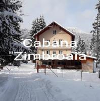 CABANA ZIMBROAIA - B&B