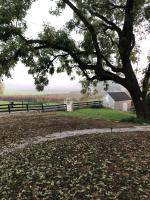 Cider House Bed and Breakfast - B&B Waynesboro
