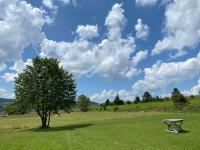 Vila Zboriste - Bed and Breakfast Nova Varoš