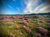 Relais & Chateaux De Struyckenbergen - villa met wellness - Bed and Breakfast Elspeet