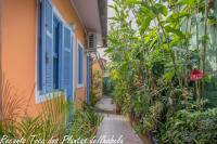 Recanto Toca das Plantas de Ilhabela I - Ferienwohnung Ilhabela