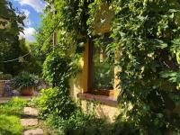Ferienhaus Erzgebirge "An der Trebe" mit Kamin und Sauna - Chambres d'hôtes Neuhausen