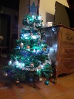 La Maison de l'Isle - Bed and Breakfast Eu