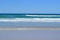 On the Beach at Hastings Point - B&B Hastings Point