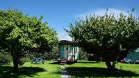 1Bed Cabin Sleeps 2- Fireplace Garden Parking Pets - Ferienwohnung Lizard