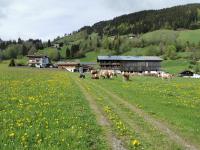 Angererhof - Bed and Breakfast