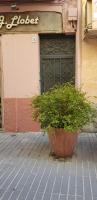 Piso romantico y espacioso - B&B