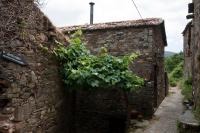 Talasnal Casa da Urze AL - Chambres d’hôtes