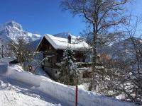 Chalet Blanche Neige - Ferienwohnung Gryon