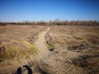 Antonella's Home - B&B Cavallino-Treporti