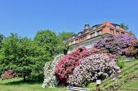 Ferienwohnung Natur und Kunst - Ferienwohnung