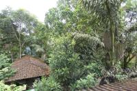 Camera Quadrupla Classic