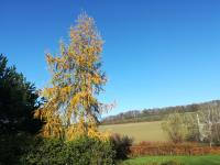 Carpe Diem - B&B Mont