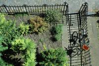 Villa des Roses Voltaire - B&B Brussels