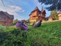 CHALETS GREY GOOSE - B&B Yablunytsya