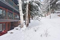 Aspen Mountain Condominiums 1C - B&B Aspen