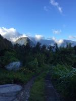 Charmant bungalow à Hell-Bourg avec vue sur montagnes et jardin - B&B