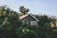 Live in the woods - B&B